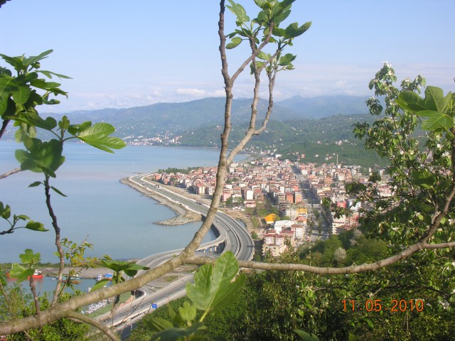 ARAKLI/TRABZON