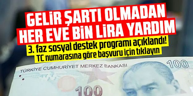 1000 lira almak için TC numarasına göre başvuru...