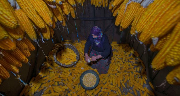 4 MEVSİM YOMRA FOTOĞRAF YARIŞMASI SONUÇLANDI