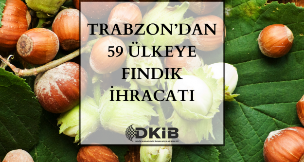 59 farklı ülkeye fındık...