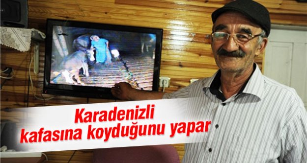 Ahıra Kurdukları Kamera Sistemi ile 'İnek Tv' İzliyorlar