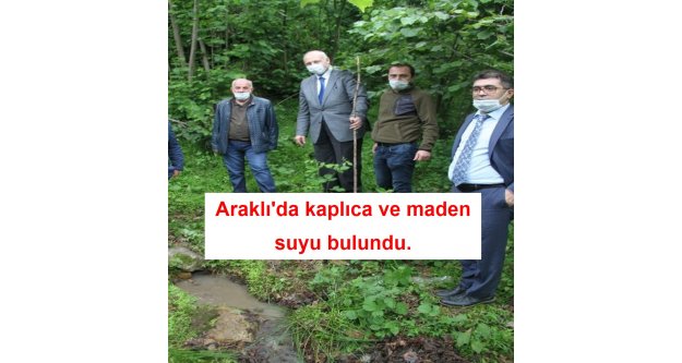 Araklı'da fındıklık içerisinde kaplıca ve maden suyu bulundu.