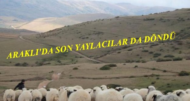 Araklı'da son yaylacılar da döndü