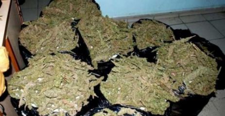 Araklı'da Kubar Esrar Ele Geçirildi