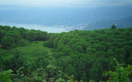 Araklı'ya sondaja gelen firma, geldiğine bin pişman oldu