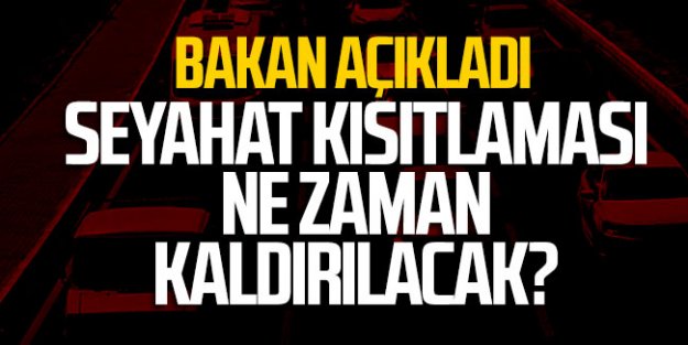 Bakan açıkladı; seyahat kısıtlaması ne zaman kaldırılacak?