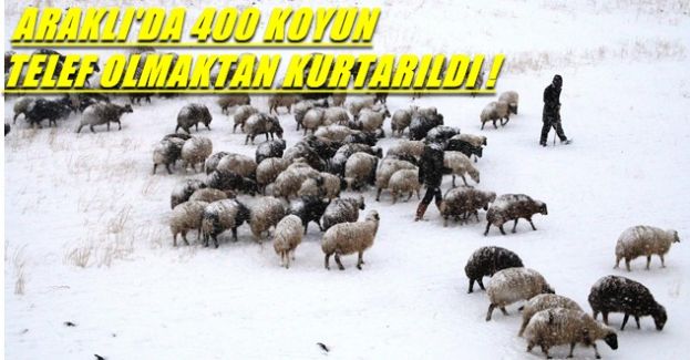 Birlik mahallesinden kurtarıldılar !