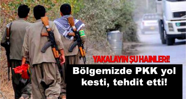 Bölgemizde PKK yol kesti, tehdit etti!