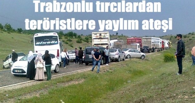 Bordo Bereliler Sandılar