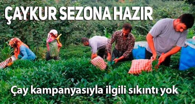 Çaykur sezona hazır. Çay kampanyasıyla ilgili sıkıntı yok.