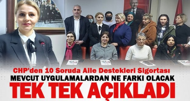 CHP'den 10 Soruda Aile Destekleri Sigortası