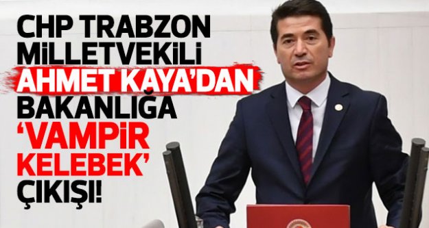 CHP Trabzon Milletvekili Kaya'dan bakanlığa vampir kelebek çıkışı!