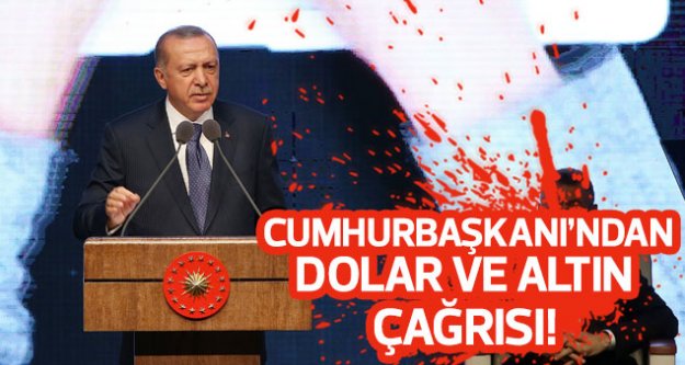 Cumhurbaşkanı'ndan dolar ve altın çağrısı