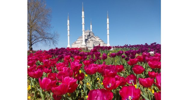 DAHA YEŞİL TRABZON ATAĞI