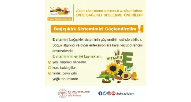 E vitamini bağışıklık sisteminin güçlendirilmesinde etkilidir.