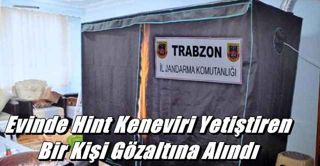 Evinde Hint Keneviri Yetiştiren Bir Kişi Gözaltına Alındı