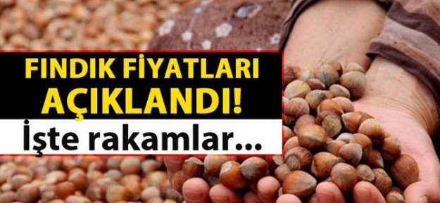 Fındık fiyatları açıklandı! Fındık fiyatları ne kadar?