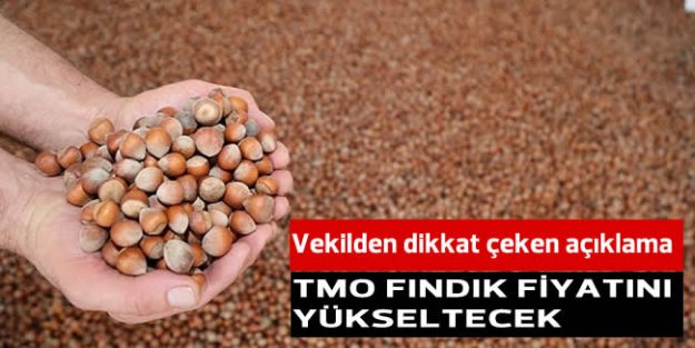 Fındık fiyatları için dikkat çeken açıklama