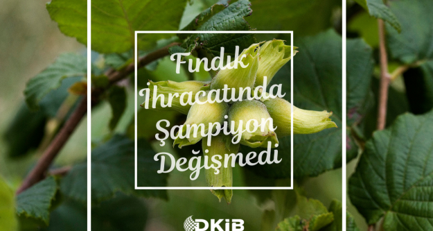 FINDIK İHARACATINDA ŞAMPİYON DEĞİŞMEDİ