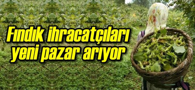 Fındık İhracatçıları Yeni Pazar Arıyor