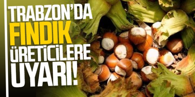 FINDIK İHRACATINDA REKOR HEDEFLENİYOR