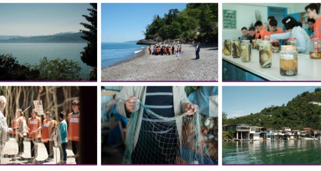 GÖRÜNMEZ KATİL HAYALET AĞLAR!