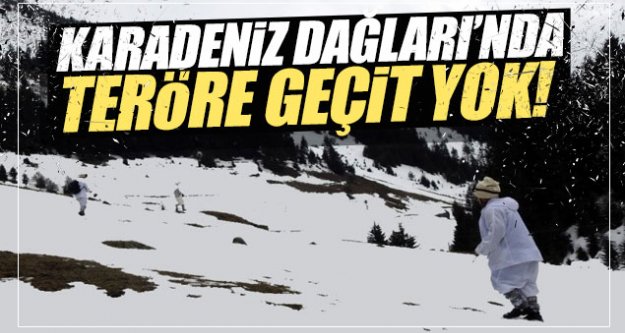 Karadeniz Dağları'nda teröre geçit yok!