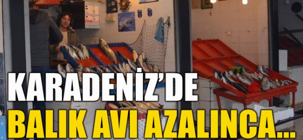 Karadeniz'de balık azalınca vatandaş kültür balığına yöneldi...