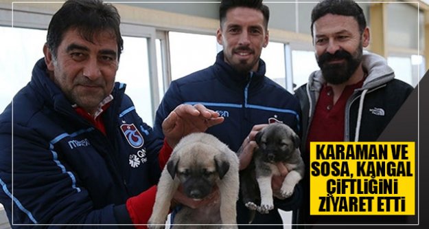Karaman ve Sosa, kangal çiftliğini ziyaret etti