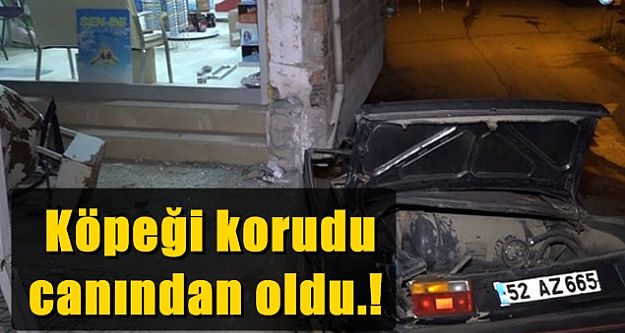 Köpeği korudu canından oldu.!