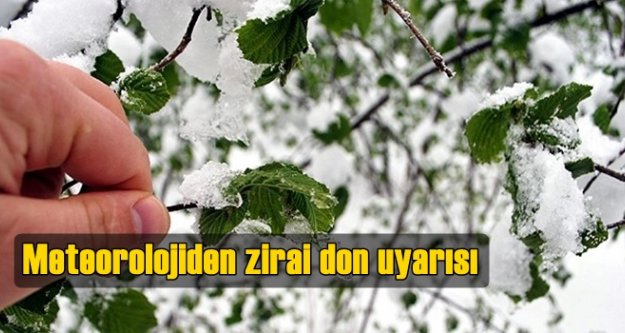 Meteorolojiden zirai don uyarısı