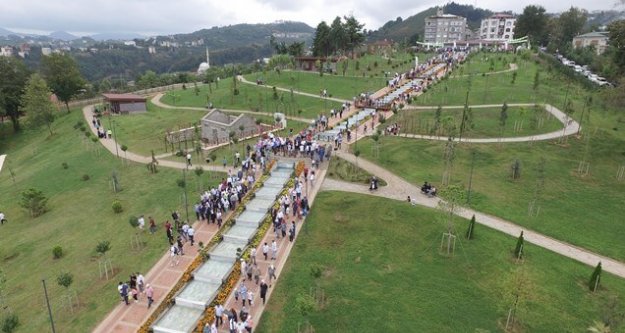 Park, Mesire, Piknik Yerleri İle İlgili önemli karar...