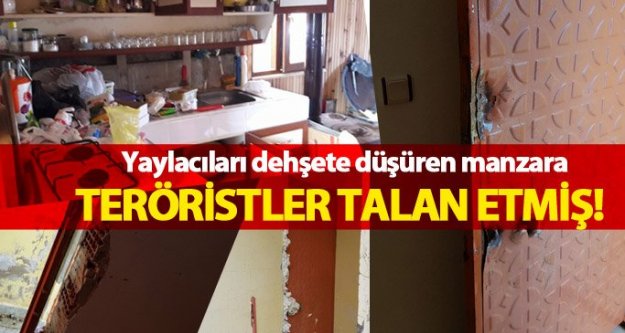 PKK'lı teröristler yaylada girilmedik ev neredeyse bırakmamışlar.
