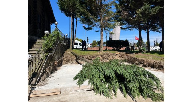 Rize Çayeli‘nde ağaç katliamı!