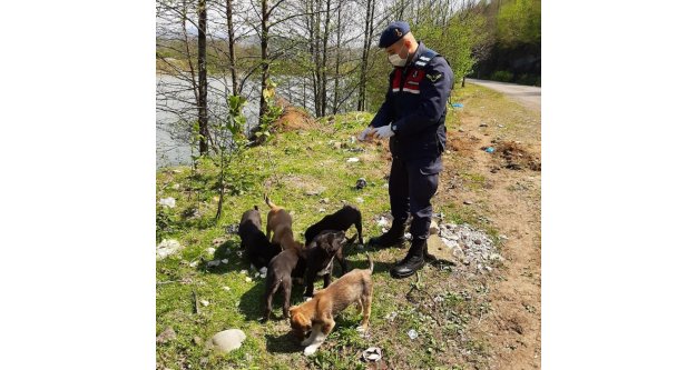 Sevimli dostlarımızı beslemeyi de ihmal etmediler.