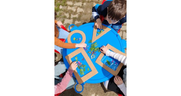 SHAPE EXPLORERS Başladı!