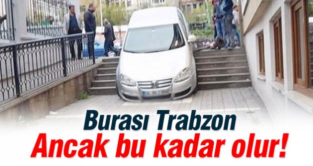 Sürücüler navigasyon kurbanı oldu