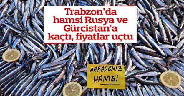 Tarbzon Hamsi Rusya ve Gürcistan'a Kaçtı, Fiyatlar Uçtu