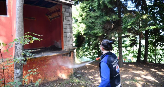 TARIM ZARARLISINA KARŞI YOĞUN İLAÇLAMA