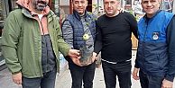 BİN ADET YOMRA ELMASI FİDANI TOPRAKLA BULUŞTU