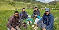 Bu mantarın kilosu 5 bin TL