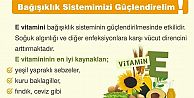 E vitamini bağışıklık sisteminin güçlendirilmesinde etkilidir.