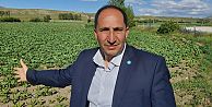 Necdet İlhan: “300 Milyon nüfusa yetecek kadar ürün üretebiliriz”