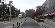 Trabzon'da sokağa çıkma yasağında kaç kişiye ceza kesildiğini belli oldu.