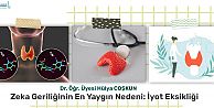 Zeka Geriliğinin En Yaygın Nedeni: İyot Eksikliği