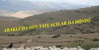 Araklı'da son yaylacılar da döndü