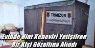 Evinde Hint Keneviri Yetiştiren Bir Kişi Gözaltına Alındı