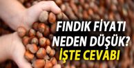 Fındık fiyatları neden düştü