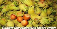 Fındıkta tüm zamanların rekoru kırıldı