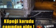 Köpeği korudu canından oldu.!